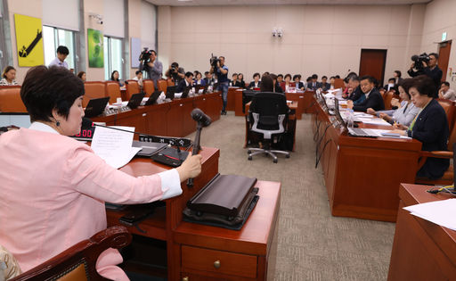  28일 서울 여의도 국회에서 자유한국당 의원들이 불참한 가운데 여성가족위원회 전체회의가 열리고 있다. 전혜숙 위원장이 안건을 상정하고 있다. 