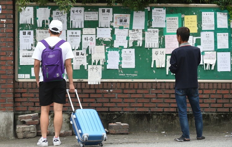 수도권 대학가 원룸 밀집지역에서 한 학생이 여행가방을 이끌고 자취 정보 게시판을 살펴보는 모습. (사진=뉴시스)