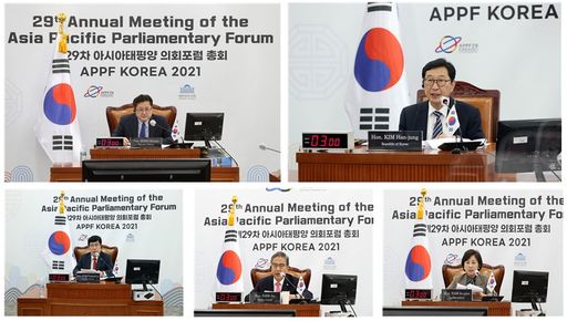 '제29차 아시아태평양 의회포럼(APPF·Asia-Pacific Parliamentary Forum) 총회' 사전 부속회의 중 하나인 결의안 기초위원회가 24일(수) 화상으로 개최됐다.