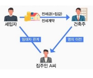 '빌라왕 사태'의 전개방식.(자료=국회입법조사처)