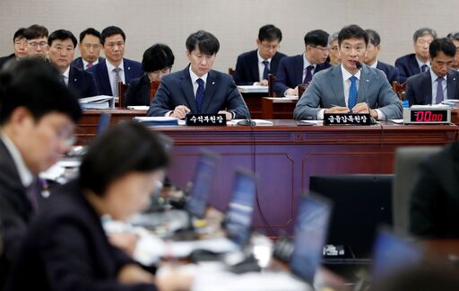 17일(화) 국회 정무위원회(위원장 백혜련)가 금융감독원을 대상으로 실시한 국정감사가 진행 중이다.(사진=뉴시스)