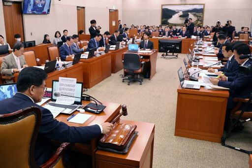 25일(수) 국회 농림축산식품해양수산위원회가 소관기관을 대상으로 실시한 종합감사에서 소병훈 위원장이 의사봉을 두드리고 있다.(사진=뉴스1)